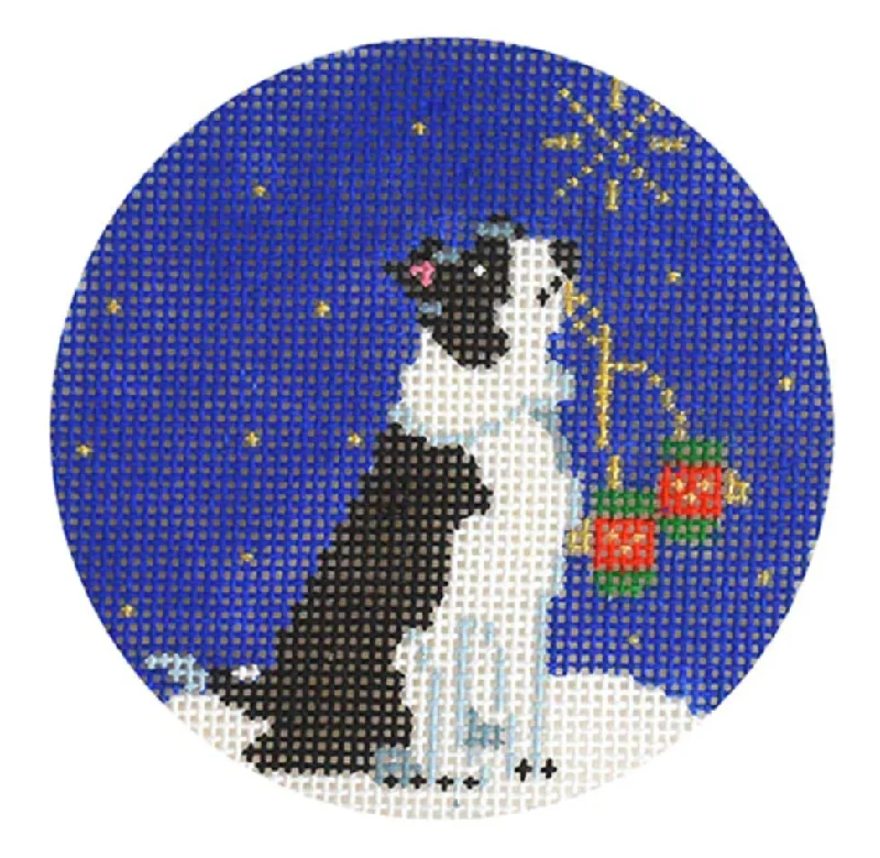 KB1582 Midnight Border Collie